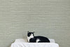 Grasscloth Wallpaper