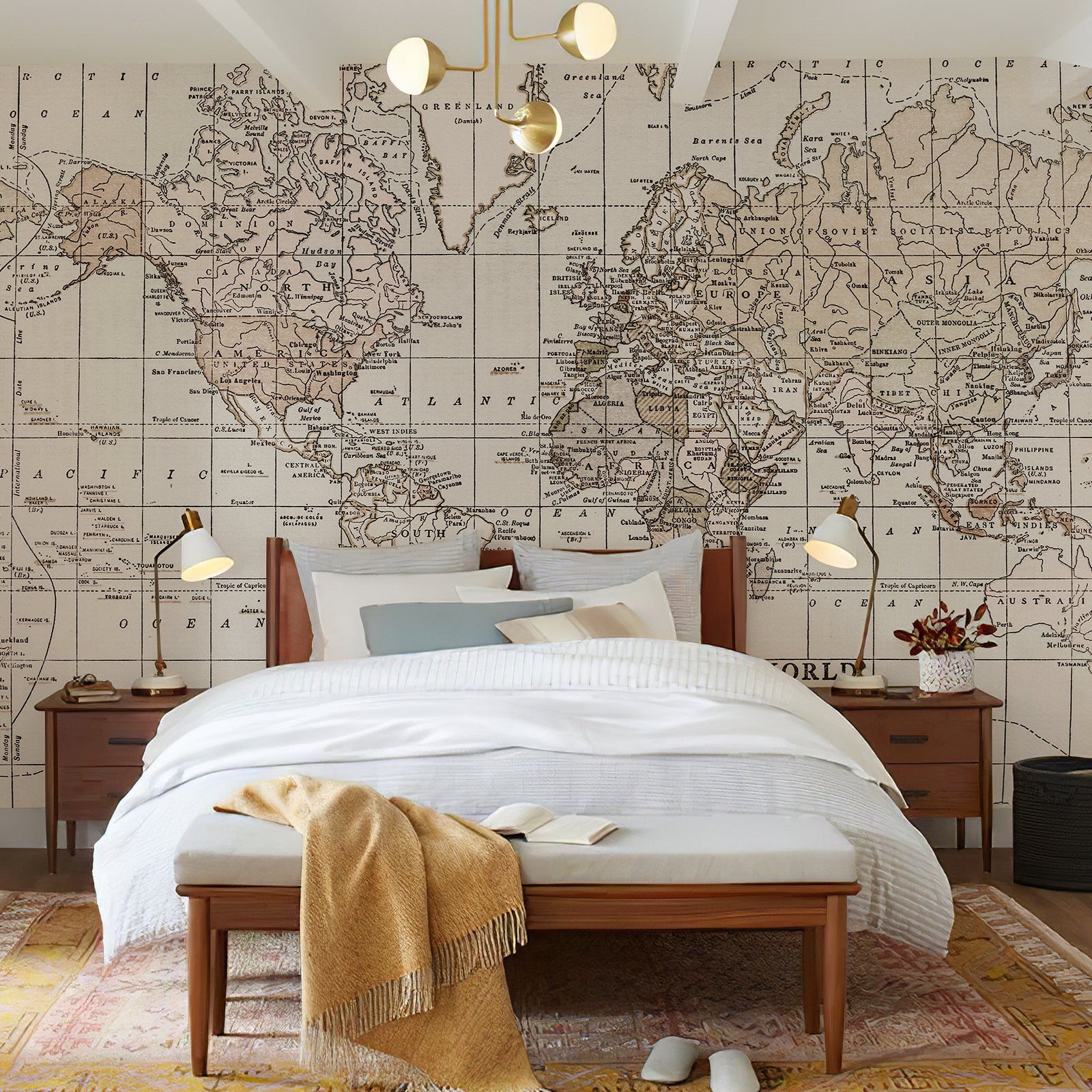 Map Vintage Peel and Stick Wall Mural
