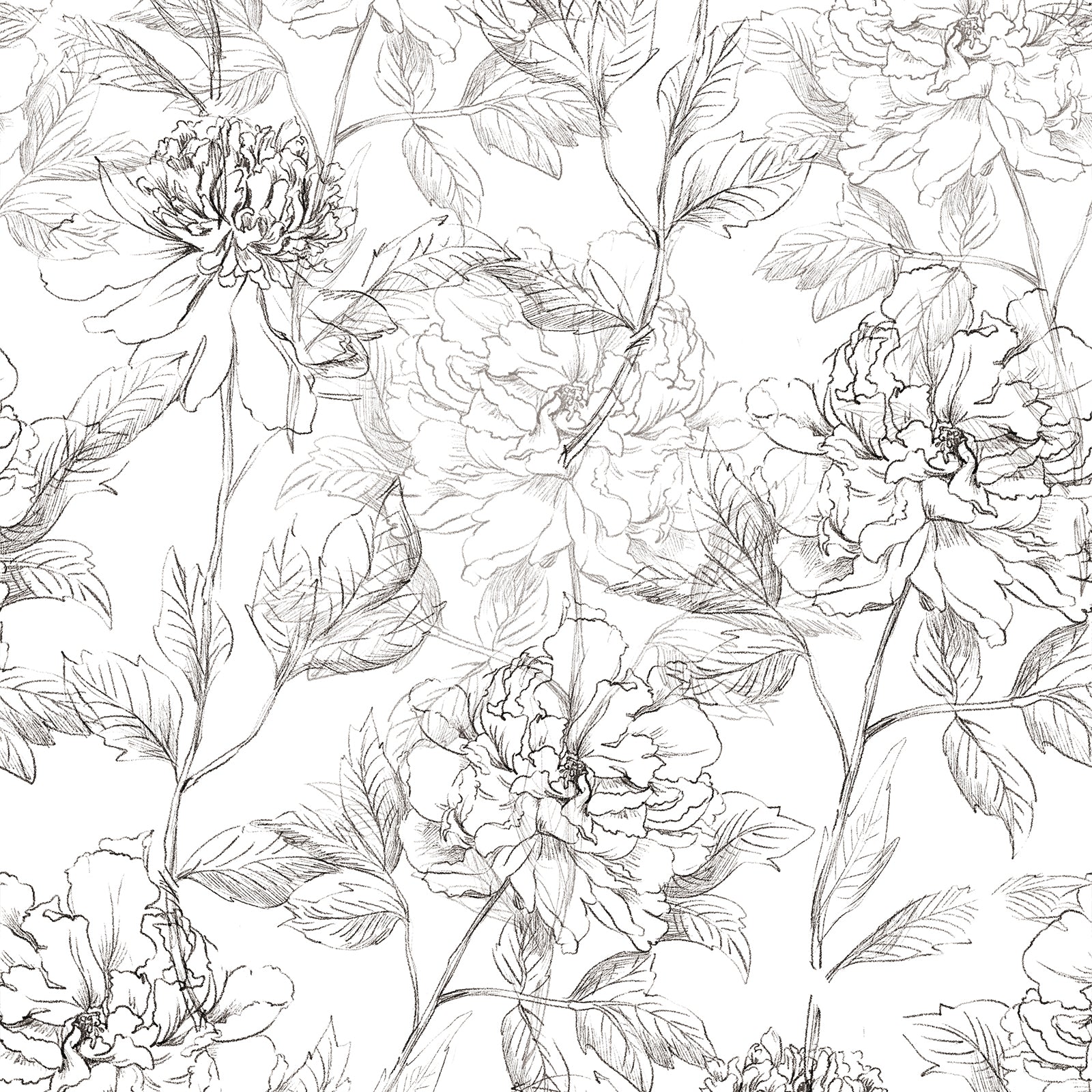 Flow of Years Sketch Peony Peel and Stick Wallpaper