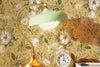 Vintage Chamomile Wildflowers Wallpaper
