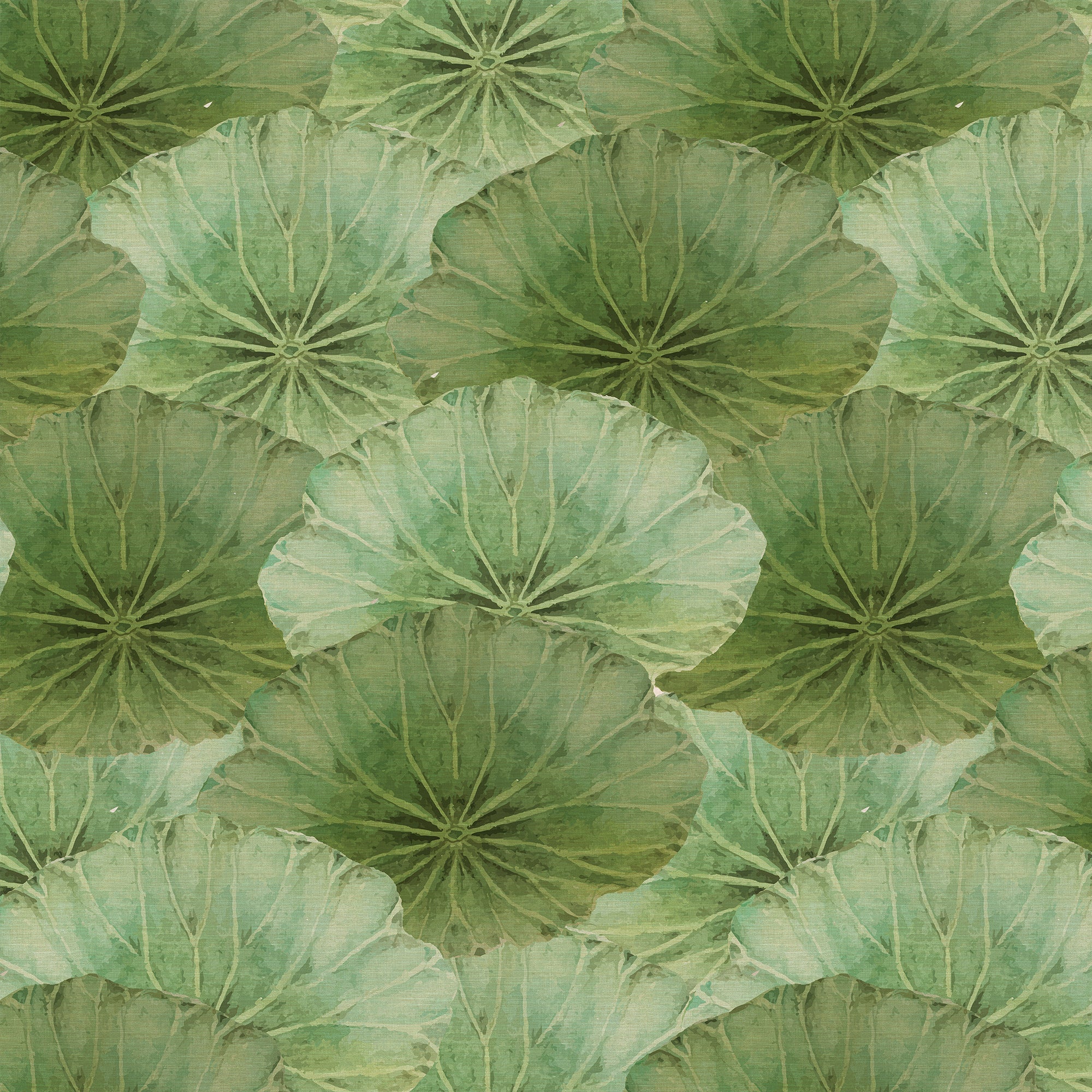 Lotus flowers in the clear water Pattern Peel and Stick Wallpaper