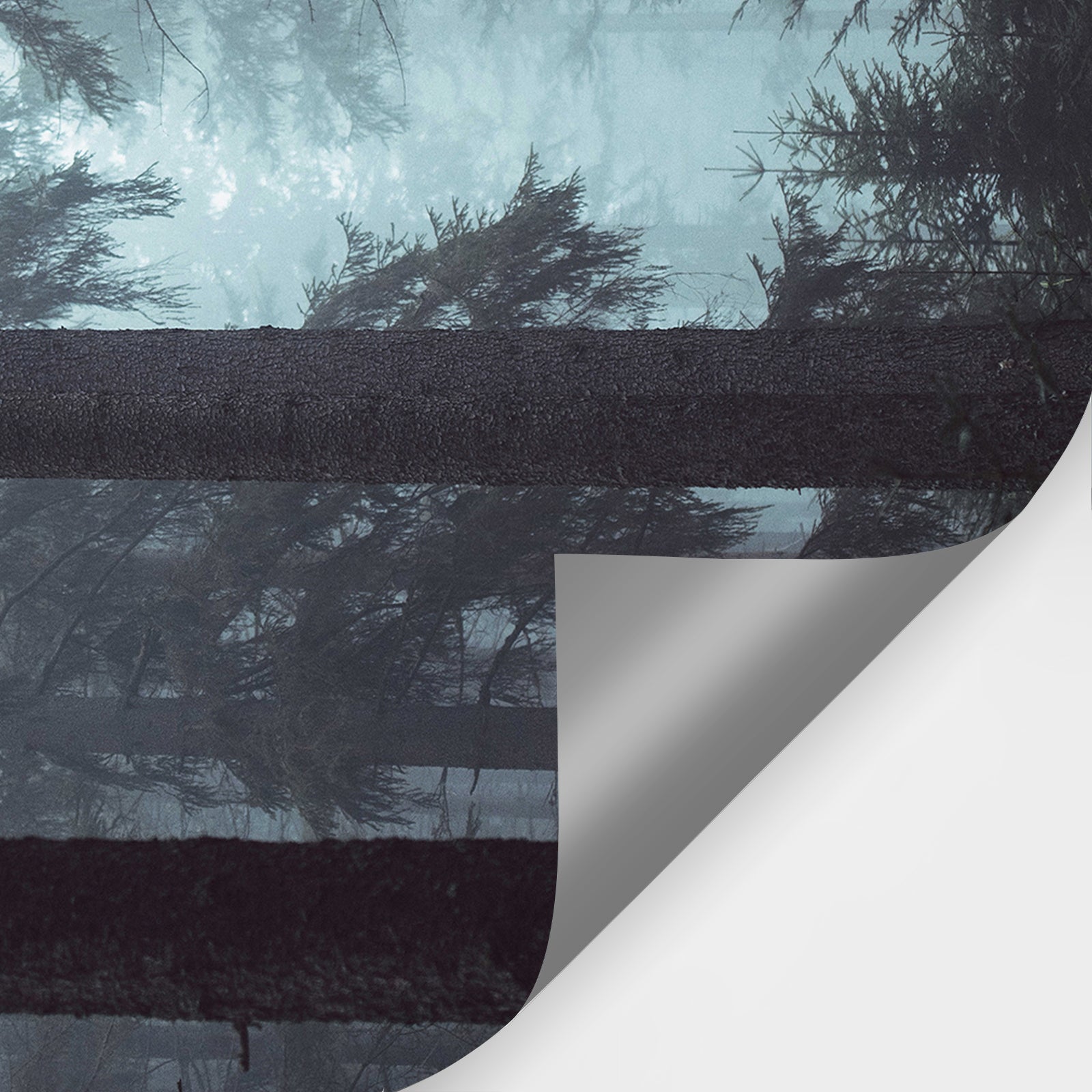 Misty Forest Peel and Stick Wall Mural