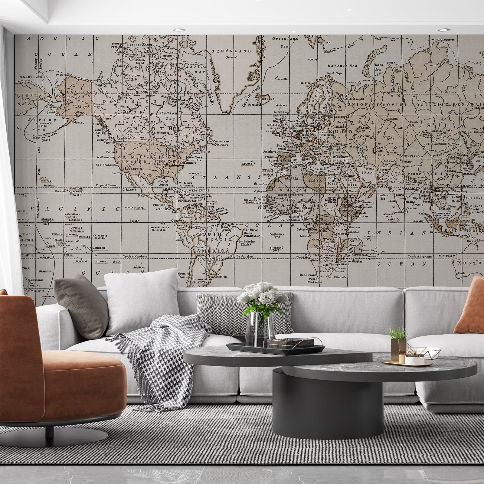 Map Vintage Peel and Stick Wall Mural