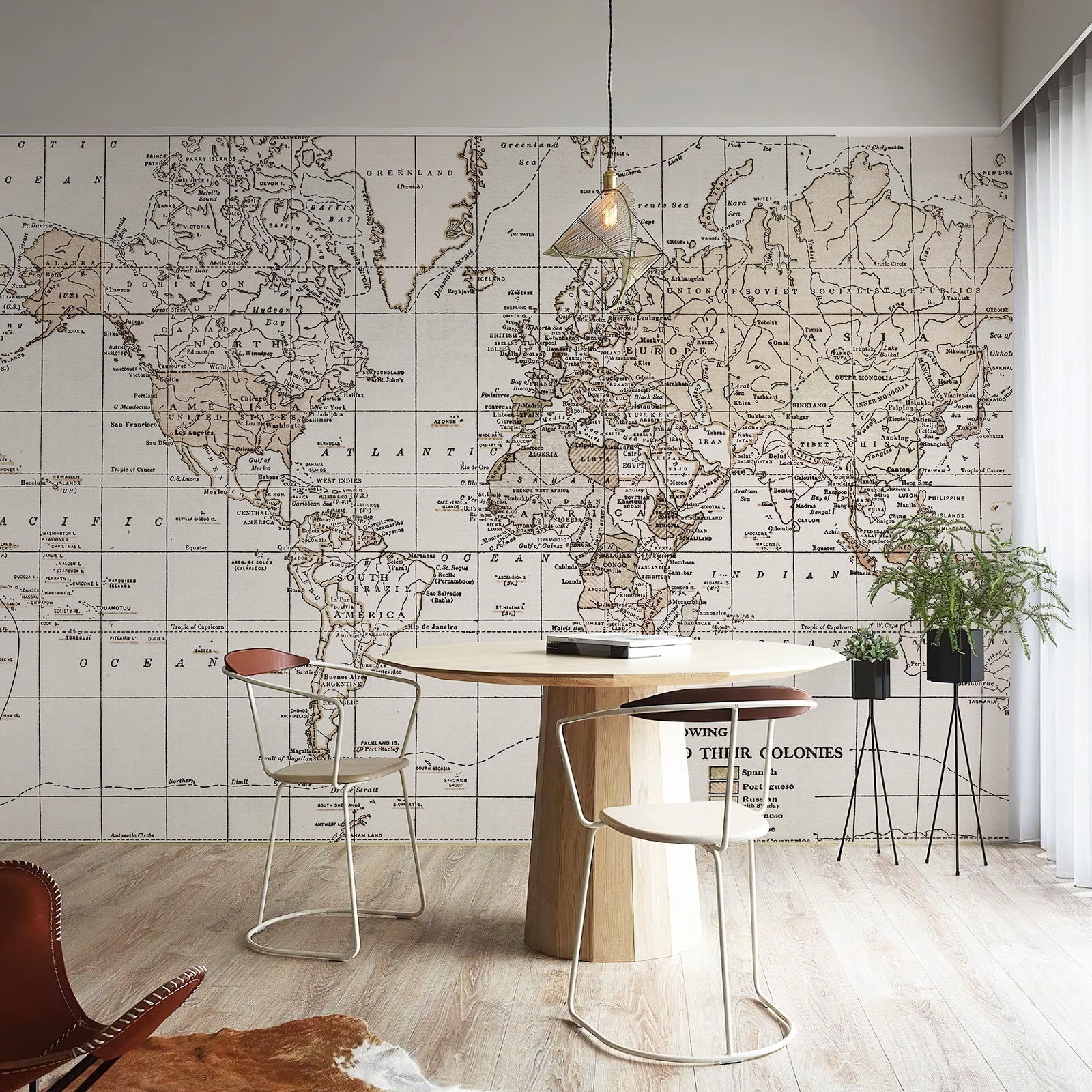 Map Vintage Peel and Stick Wall Mural