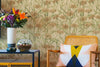 Yellow Chrysanthemum Plant Wallpape