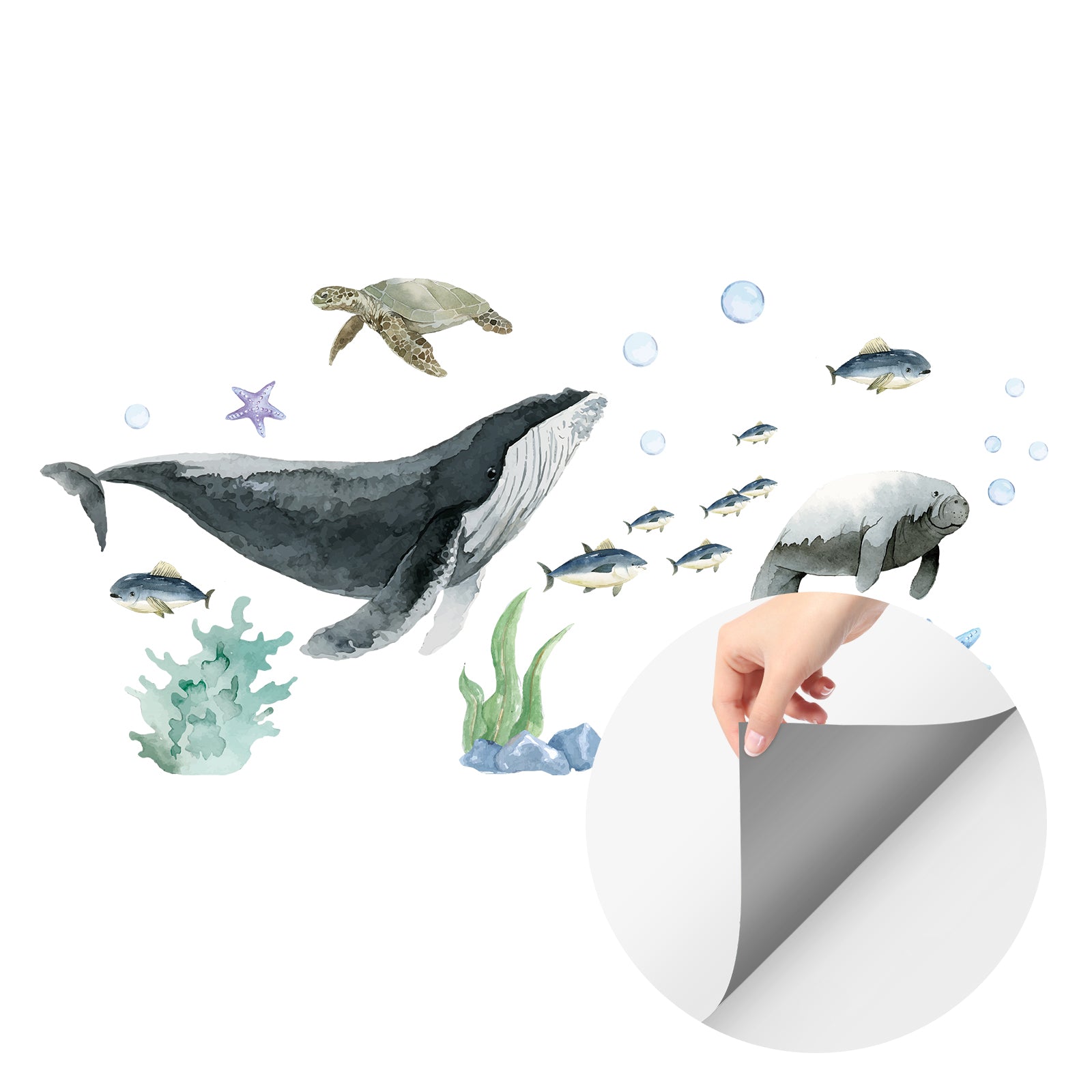 Marine Animals Peel and Stick Wall Decal